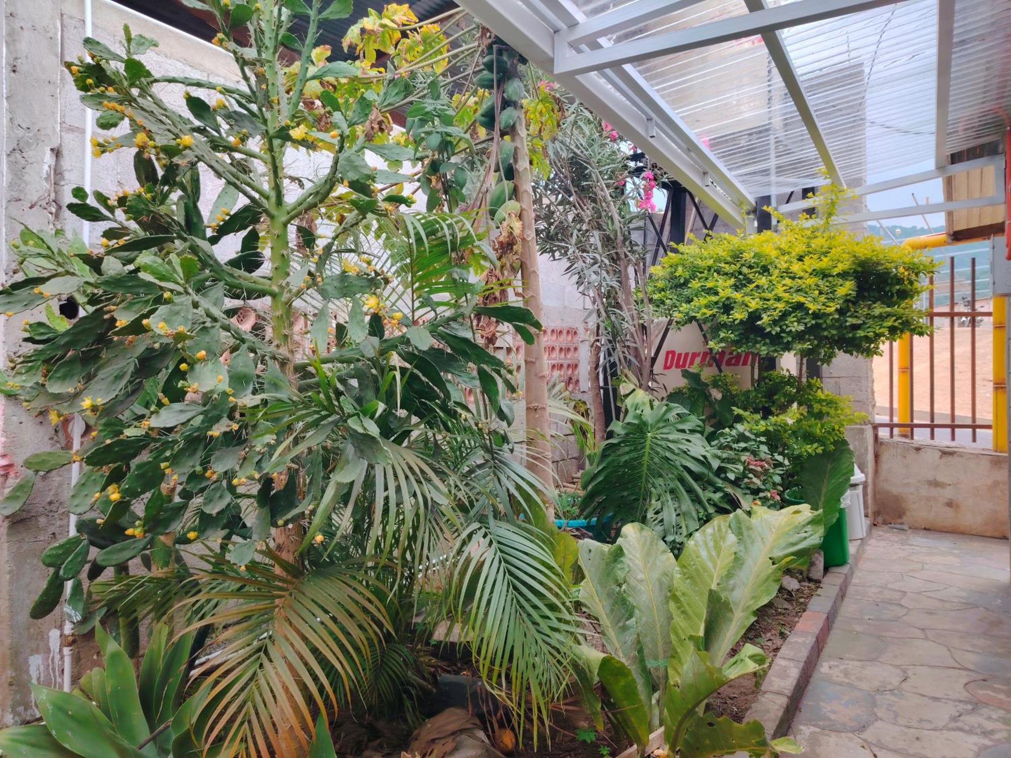 El Chirris B&B San Juan La Laguna Eksteriør bilde